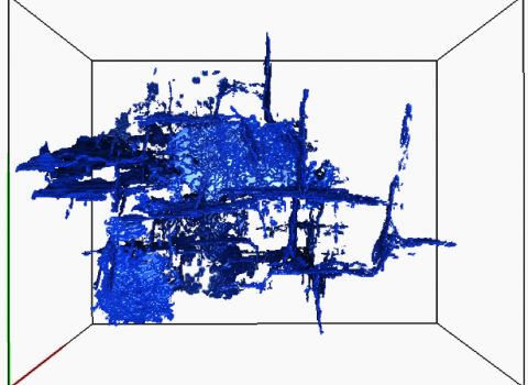 Coal fracture imaged with microCT