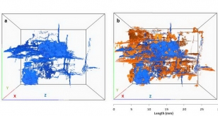 de-mineralization